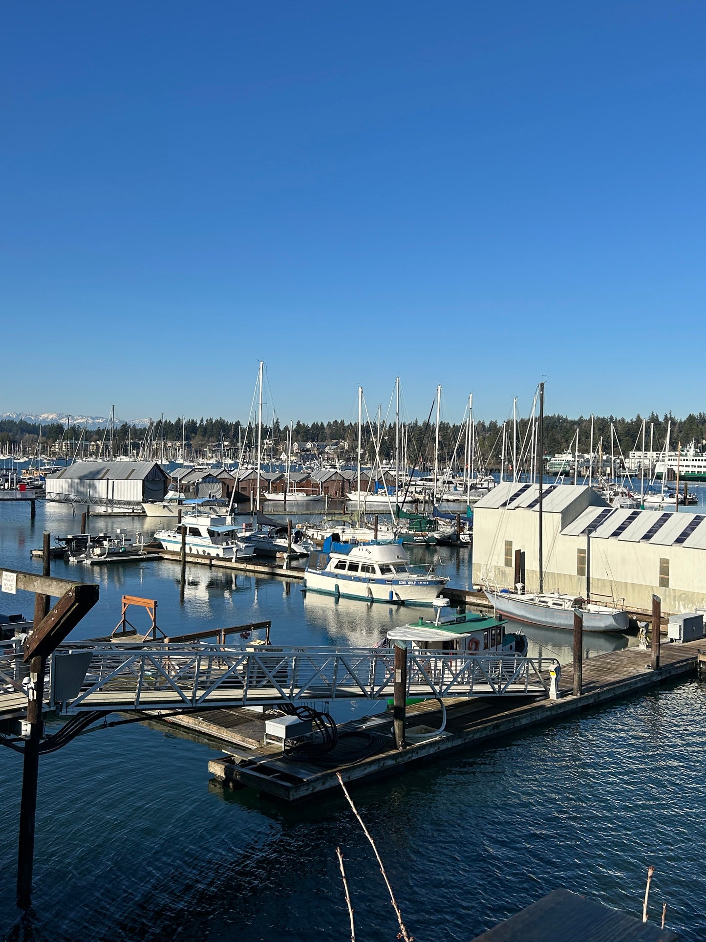 7/26-7/27 Beginner plein air painting workshops in Bainbridge, WA