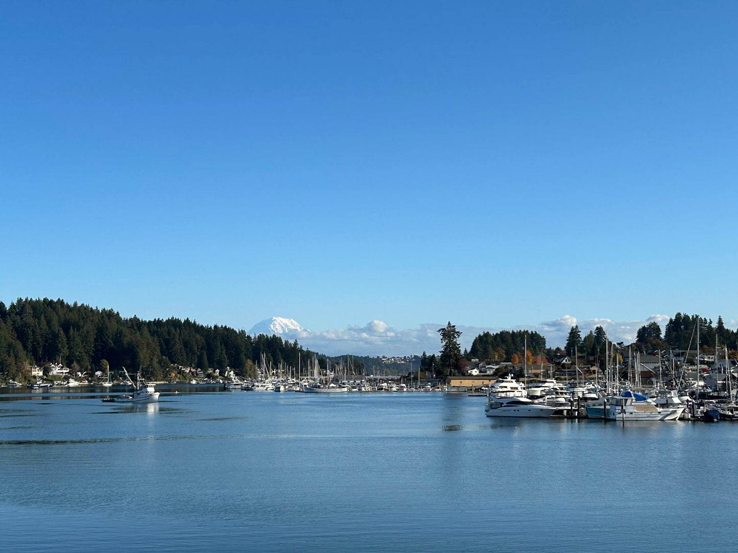 4/22 - "Rainier View of Gig Harbor" watercolor class at Local Whimsy, Gig Harbor