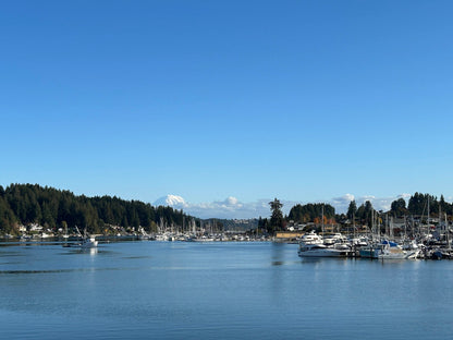 4/22 - "Rainier View of Gig Harbor" watercolor class at Local Whimsy, Gig Harbor