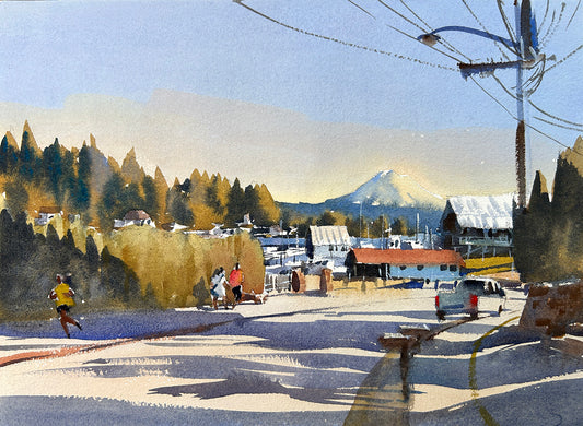 Walking down Harborview Drive